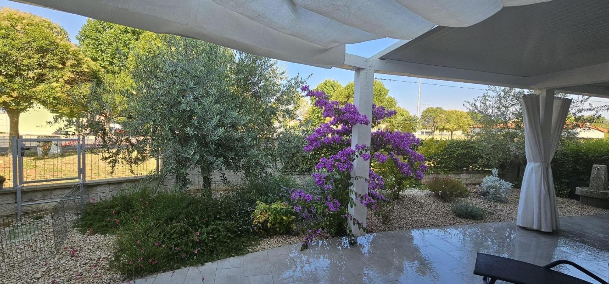 Apartman Magnolija Umago Esterno foto